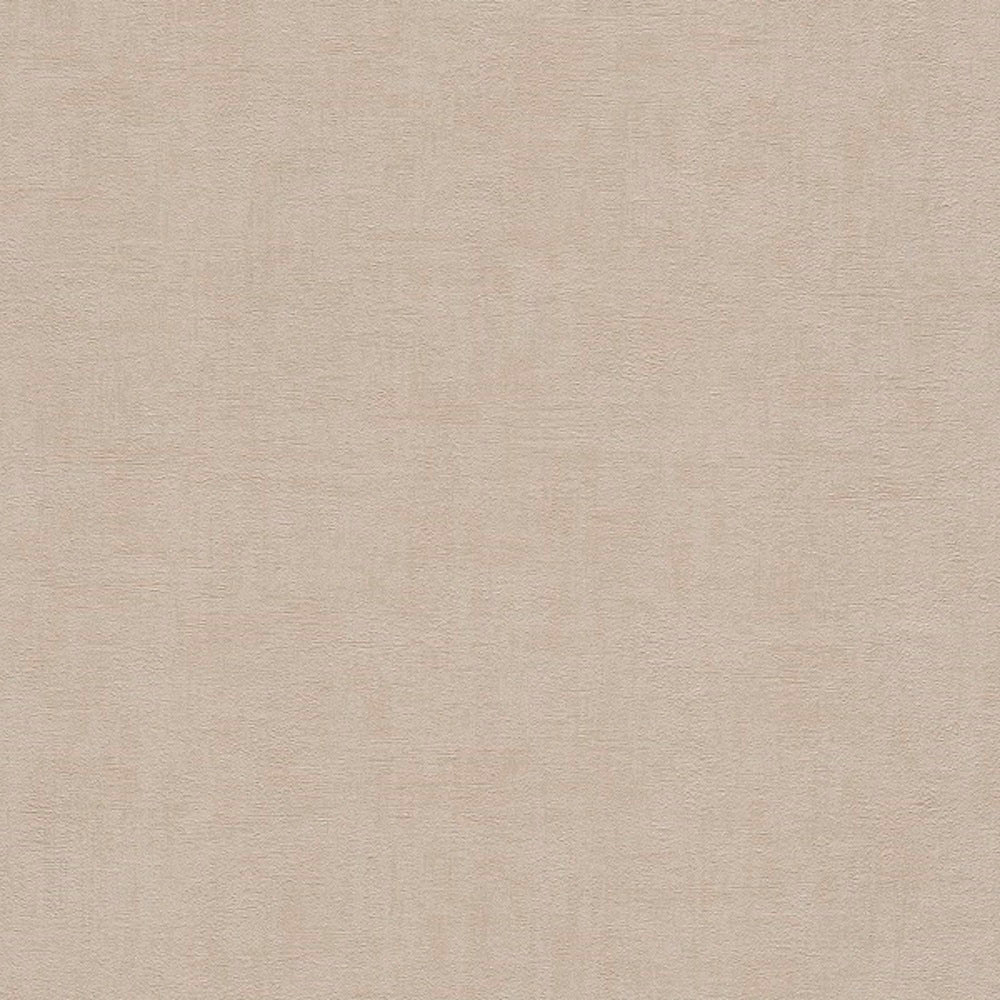 Rasch Young Artist Collection Vlies Tapete 489934 Uni braun