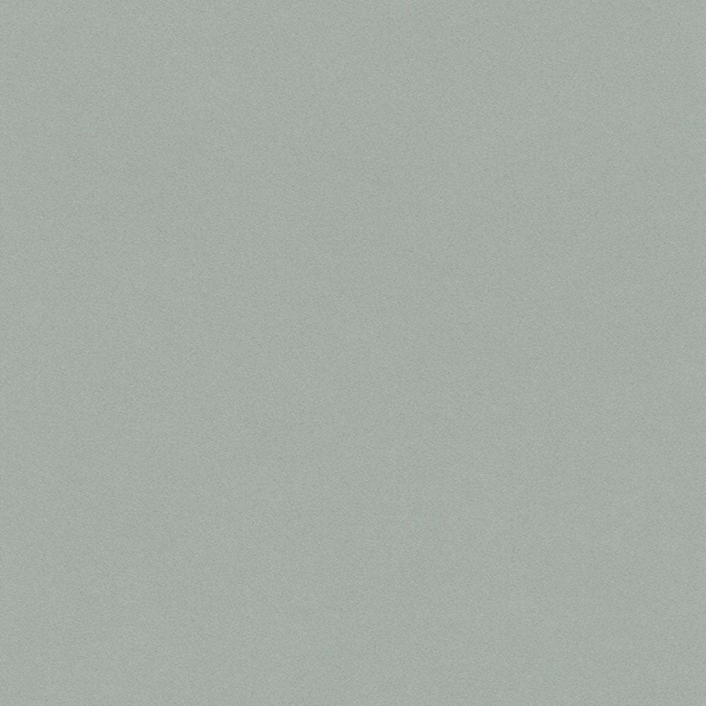 Rasch Crispy Paper Vlies Tapete 527032 Uni grün