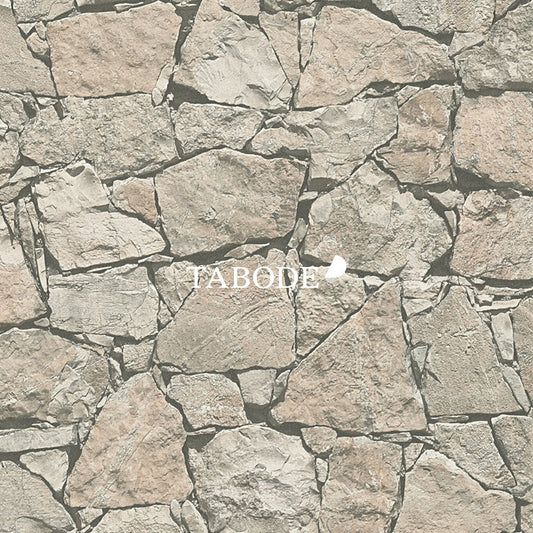 A.S. Creation Aktion Vlies Tapete 303801 Stein beige