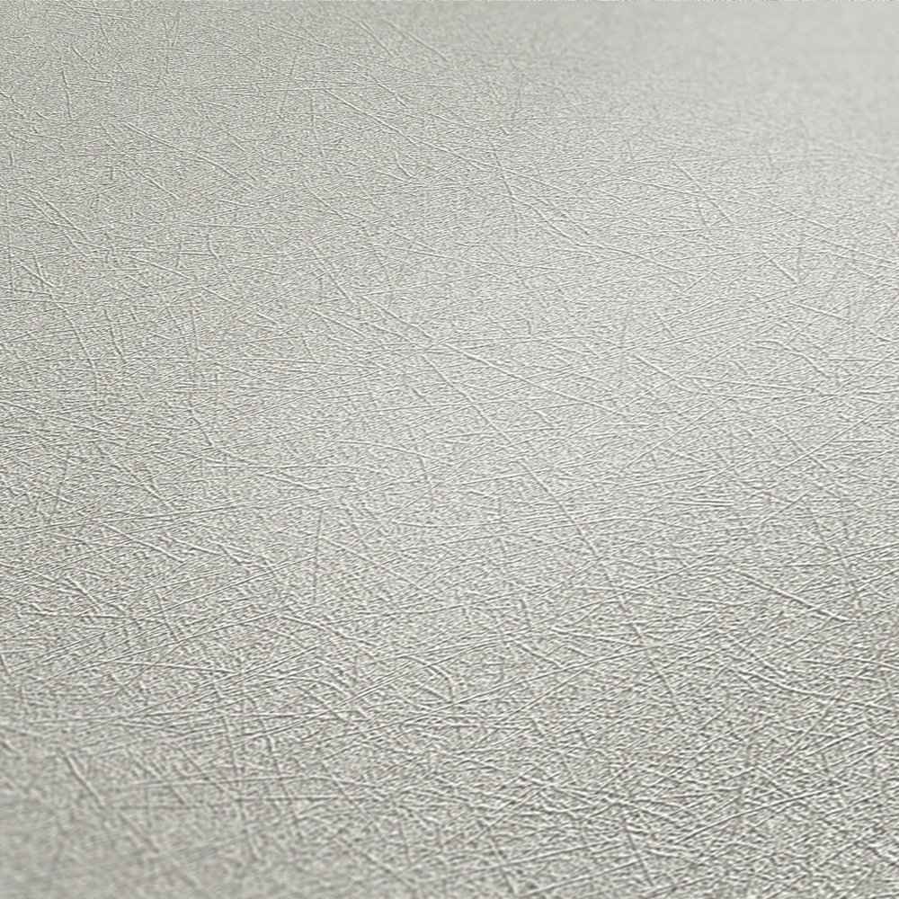 A.S. Creation Premium Wall 2 358661 Uni grau silber