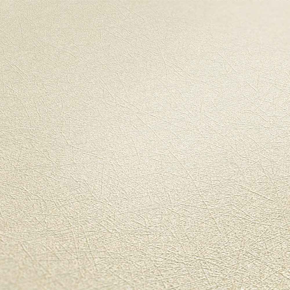 A.S. Creation Premium Walls 2 Vlies Tapete 358664 Uni beige
