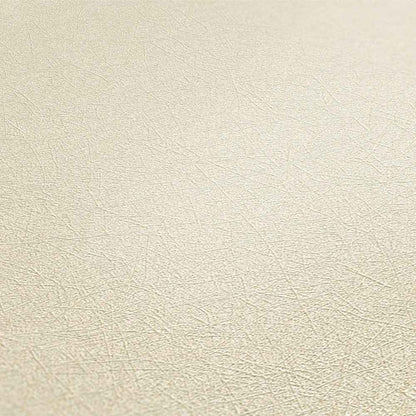 A.S. Creation Premium Walls 2 Vlies Tapete 358664 Uni beige