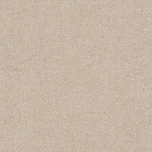 Rasch Young Artist Collection  Vlies Tapete 489934 Uni braun