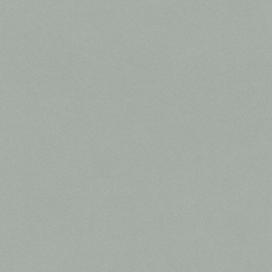 Rasch Crispy Paper Vlies Tapete 527032 Uni grün