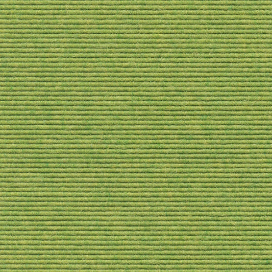Tretford Interland, Sockelleiste Farbe 622 Wasabi