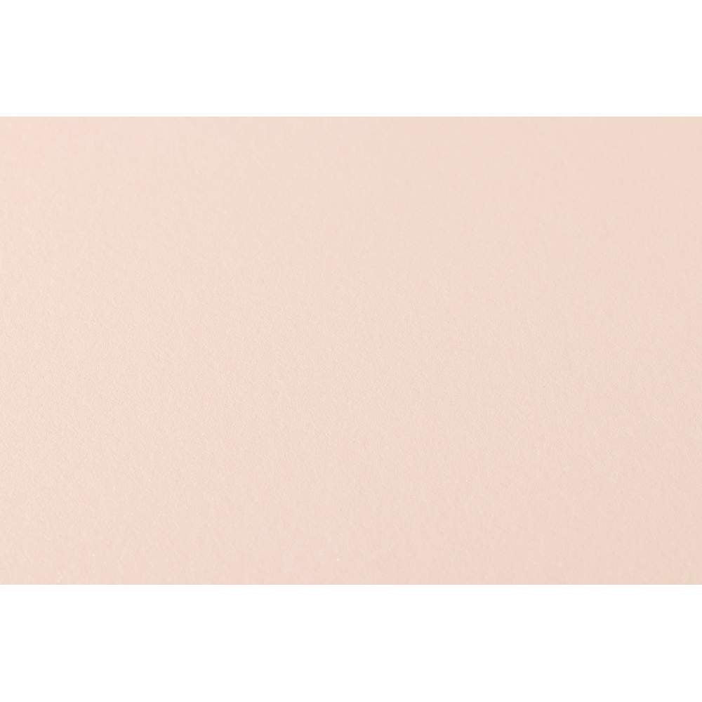 A.S. Creation Trendwall Vlies Tapete 369048 Uni beige braun metallic