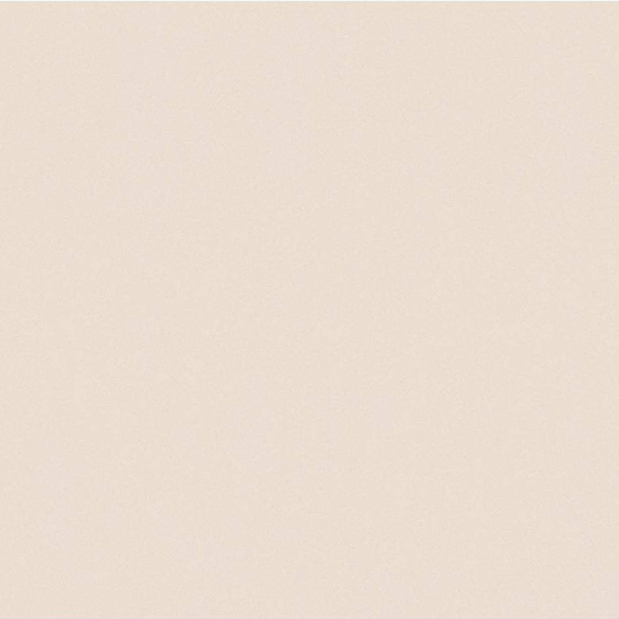 A.S. Creation Trendwall Vlies Tapete 369048 Uni beige braun metallic