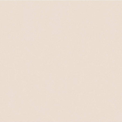 A.S. Creation Trendwall Vlies Tapete 369048 Uni beige braun metallic
