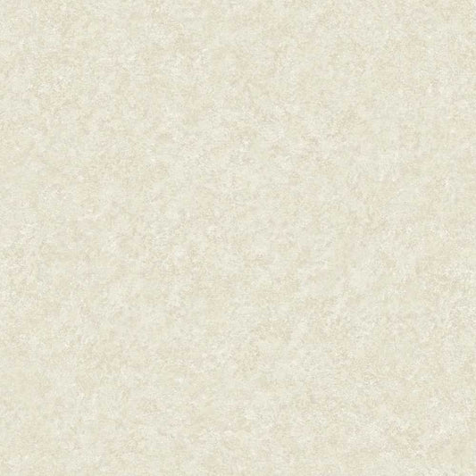 Grandeco Belize Vlies Tapete BZ1215 Uni taupe