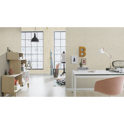 Rasch Highlands Vlies Tapete 550023 Uni grau